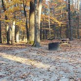 Review photo of Bradbury Mountain State Park Campground by Jean C., December 1, 2021