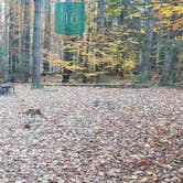 Review photo of Bradbury Mountain State Park Campground by Jean C., December 1, 2021