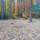 Review photo of Bradbury Mountain State Park Campground by Jean C., December 1, 2021