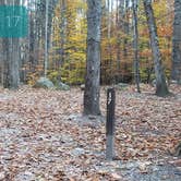 Review photo of Bradbury Mountain State Park Campground by Jean C., December 1, 2021