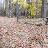 Review photo of Bradbury Mountain State Park Campground by Jean C., December 1, 2021