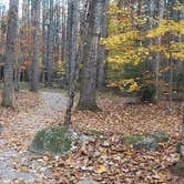 Review photo of Bradbury Mountain State Park Campground by Jean C., December 1, 2021