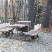 Review photo of Bradbury Mountain State Park Campground by Jean C., December 1, 2021