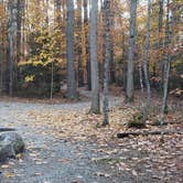 Review photo of Bradbury Mountain State Park Campground by Jean C., December 1, 2021