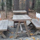 Review photo of Bradbury Mountain State Park Campground by Jean C., December 1, 2021