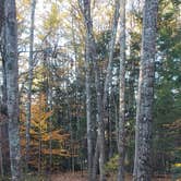 Review photo of Bradbury Mountain State Park Campground by Jean C., December 1, 2021