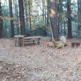 Review photo of Bradbury Mountain State Park Campground by Jean C., December 1, 2021