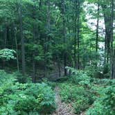 Review photo of West Branch State Park Campground by Marc W., July 8, 2018