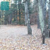 Review photo of Bradbury Mountain State Park Campground by Jean C., December 1, 2021