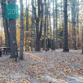 Review photo of Bradbury Mountain State Park Campground by Jean C., December 1, 2021