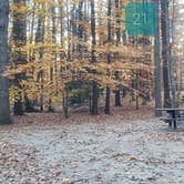 Review photo of Bradbury Mountain State Park Campground by Jean C., December 1, 2021