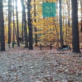 Review photo of Bradbury Mountain State Park Campground by Jean C., December 1, 2021