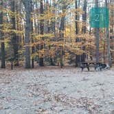 Review photo of Bradbury Mountain State Park Campground by Jean C., December 1, 2021