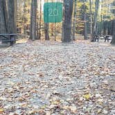 Review photo of Bradbury Mountain State Park Campground by Jean C., December 1, 2021