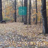 Review photo of Bradbury Mountain State Park Campground by Jean C., December 1, 2021