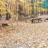 Review photo of Bradbury Mountain State Park Campground by Jean C., December 1, 2021