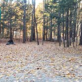 Review photo of Bradbury Mountain State Park Campground by Jean C., December 1, 2021