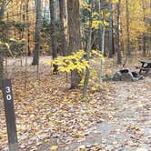 Review photo of Bradbury Mountain State Park Campground by Jean C., December 1, 2021