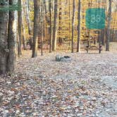 Review photo of Bradbury Mountain State Park Campground by Jean C., December 1, 2021