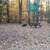 Review photo of Bradbury Mountain State Park Campground by Jean C., December 1, 2021