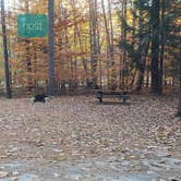 Review photo of Bradbury Mountain State Park Campground by Jean C., December 1, 2021