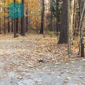 Review photo of Bradbury Mountain State Park Campground by Jean C., December 1, 2021