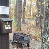 Review photo of Bradbury Mountain State Park Campground by Jean C., December 1, 2021