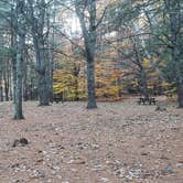 Review photo of Bradbury Mountain State Park Campground by Jean C., December 1, 2021