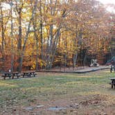 Review photo of Bradbury Mountain State Park Campground by Jean C., December 1, 2021