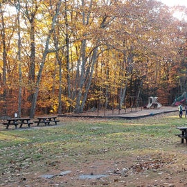 playground near the picnic area