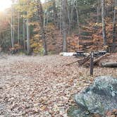 Review photo of Bradbury Mountain State Park Campground by Jean C., December 1, 2021