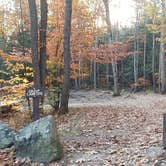 Review photo of Bradbury Mountain State Park Campground by Jean C., December 1, 2021