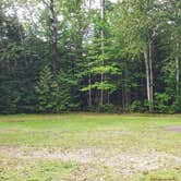 Review photo of Long Pond Campsites in KI Jo Mary MultiUse Forest by Jean C., December 1, 2021