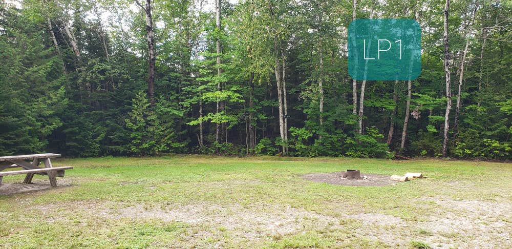 Camper submitted image from Long Pond Campsites in KI Jo Mary MultiUse Forest - 3