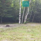 Review photo of Long Pond Campsites in KI Jo Mary MultiUse Forest by Jean C., December 1, 2021