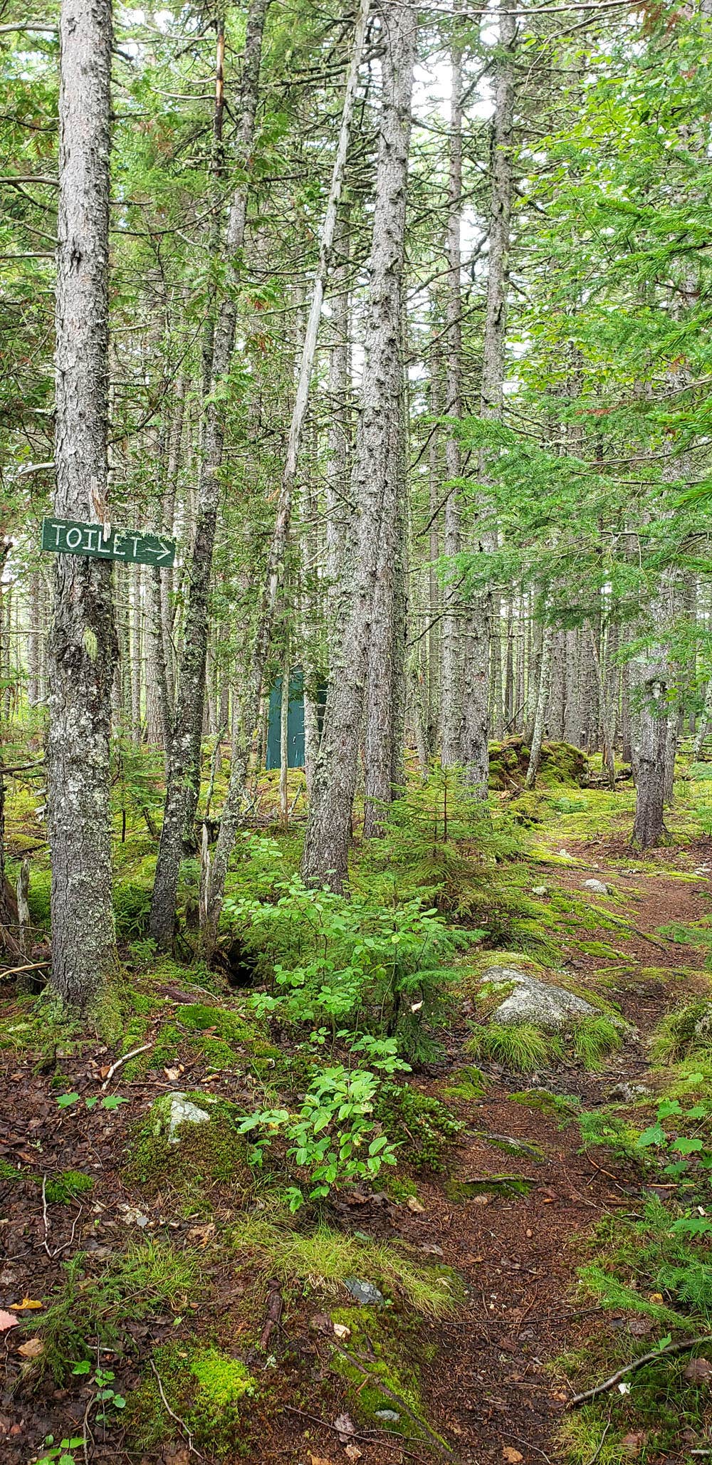 Camper submitted image from Long Pond Campsites in KI Jo Mary MultiUse Forest - 1