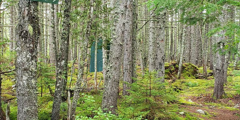 Camper submitted image from Long Pond Campsites in KI Jo Mary MultiUse Forest