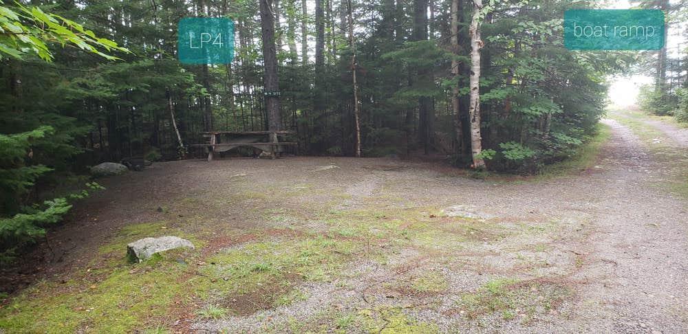Camper submitted image from Long Pond Campsites in KI Jo Mary MultiUse Forest - 5