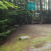 Review photo of Long Pond Campsites in KI Jo Mary MultiUse Forest by Jean C., December 1, 2021