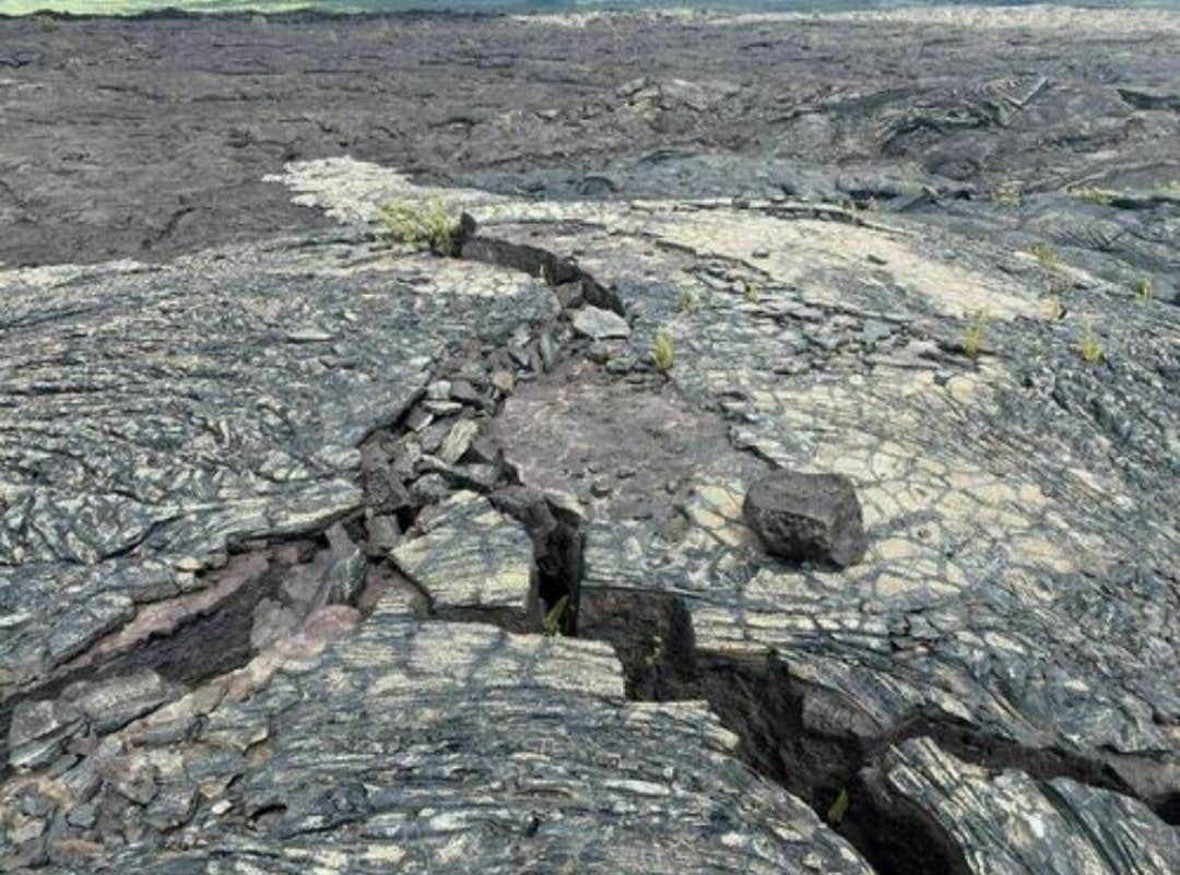 Camper-submitted photo at Kulanaokuaiki Campground — Hawai'i Volcanoes National Park near Hawaiian Paradise Park, HI