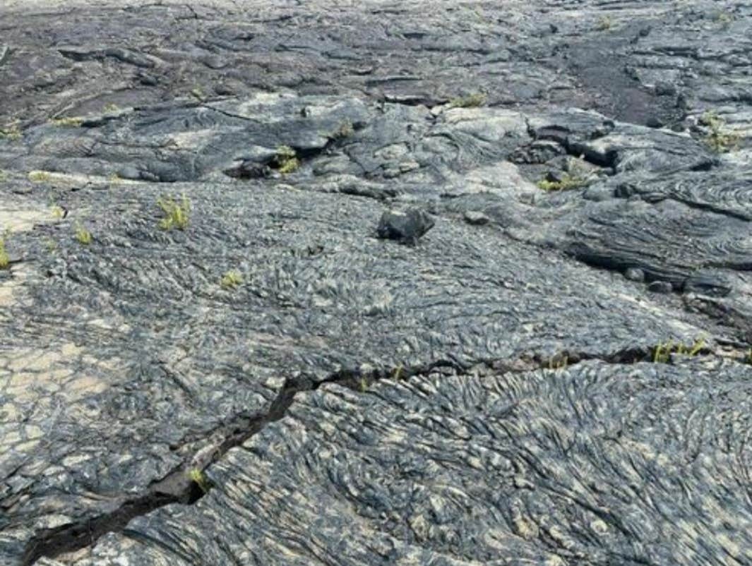 Camper-submitted photo at Kulanaokuaiki Campground — Hawai'i Volcanoes National Park near Hawaiian Paradise Park, HI