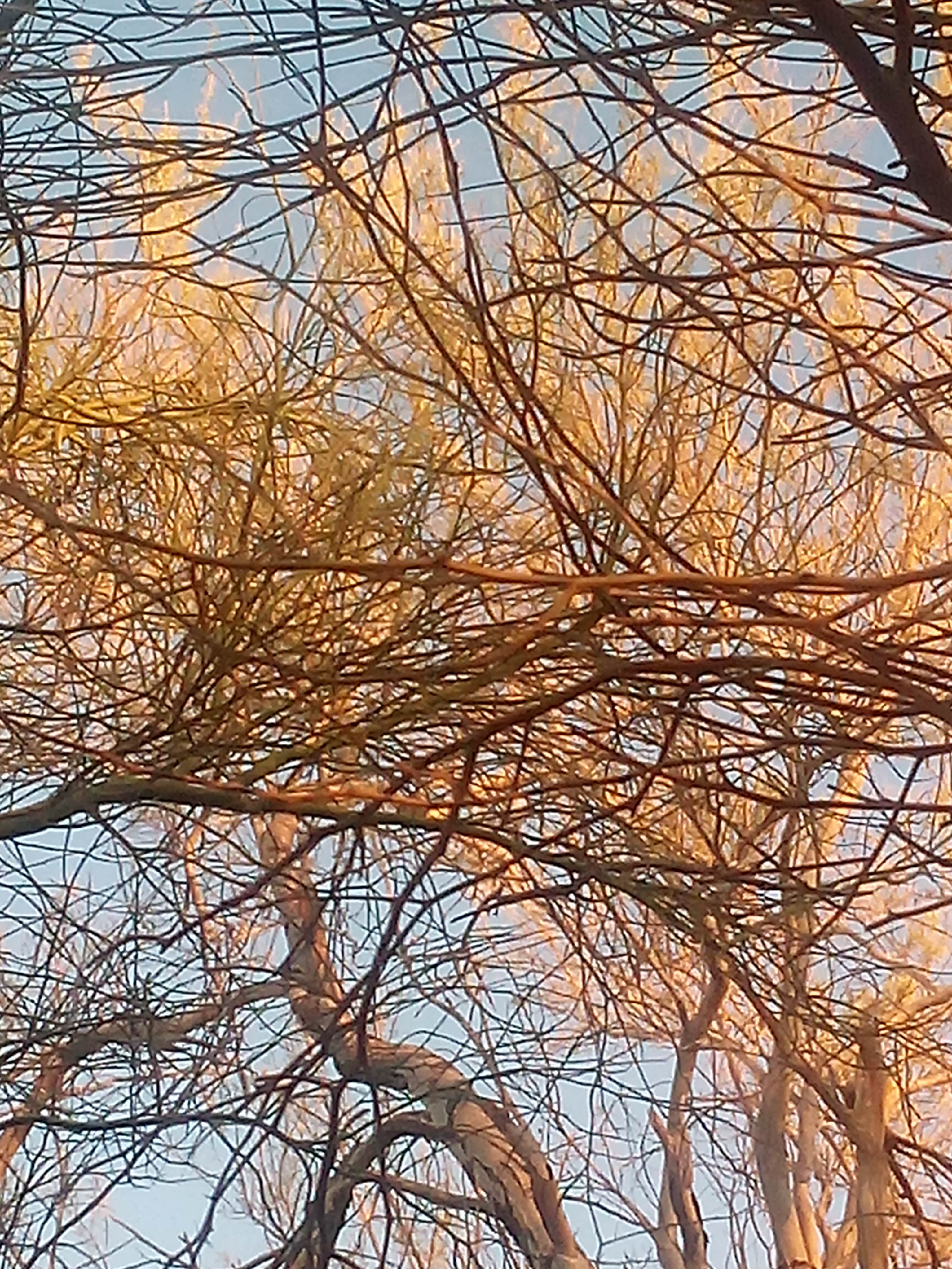 Camping near Del Yermo RV Park: Slab City, Niland, California