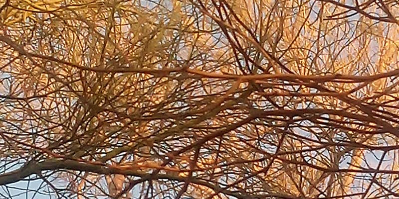 Camper submitted image from Slab City