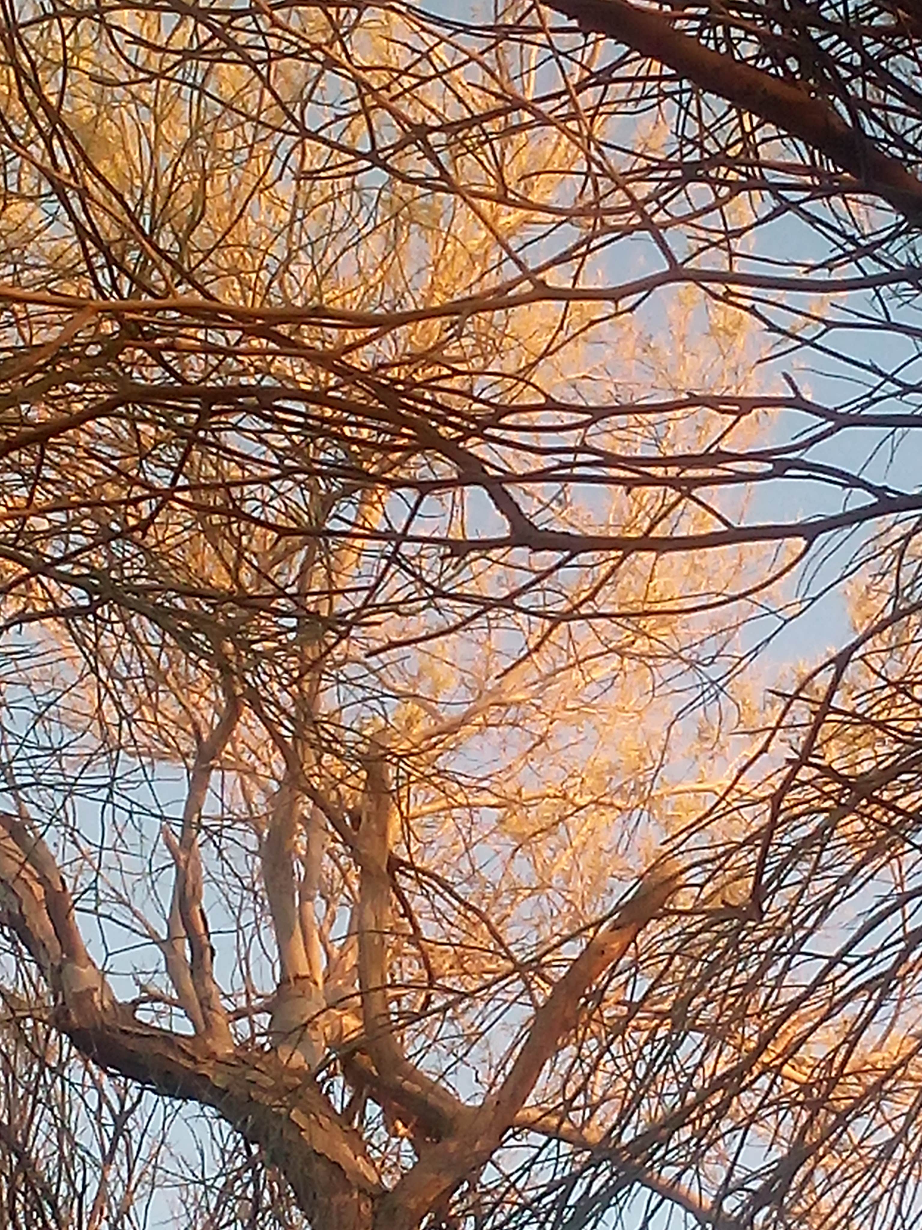 Camper-submitted photo at Slab City near Niland, CA