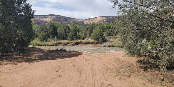 Camper submitted image from Tres Piedras Dispersed Site