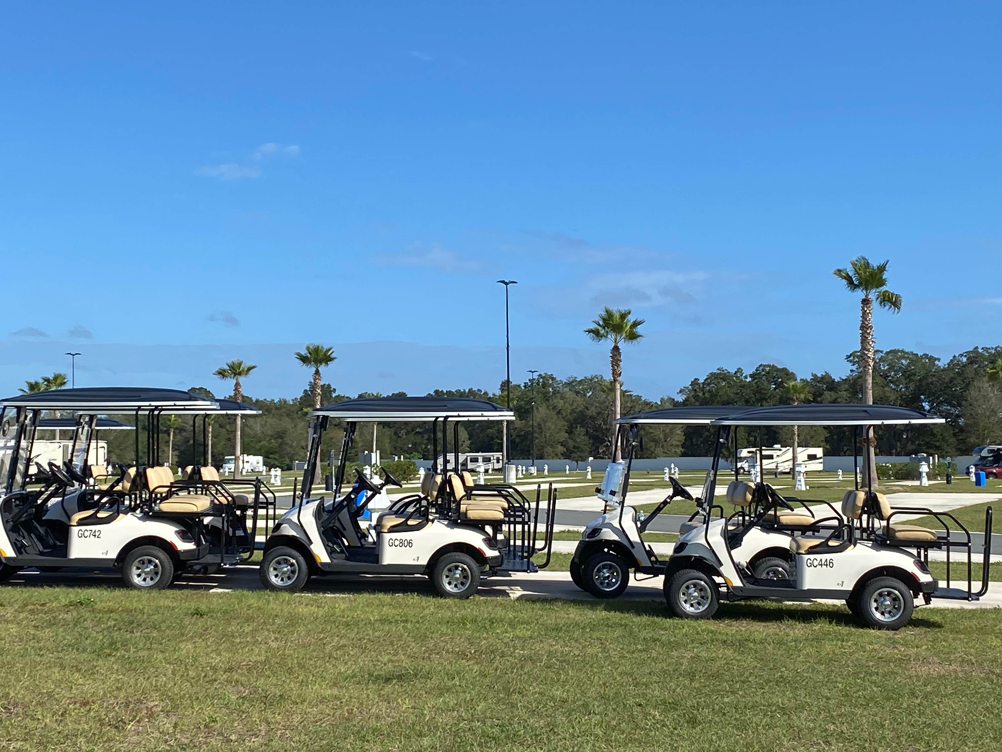 Camper-submitted photo at World Equestrian RV Resort near Archer, FL