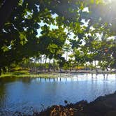 Review photo of Punalu`u Beach Park by Miles G., December 1, 2021