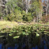 Review photo of Stephen C. Foster State Park Campground by Chad P., July 24, 2016