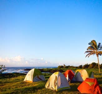 Camper-submitted photo from Punalu`u Beach Park