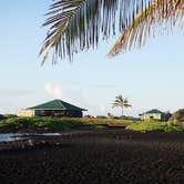 Review photo of Punalu`u Beach Park by Miles G., December 1, 2021